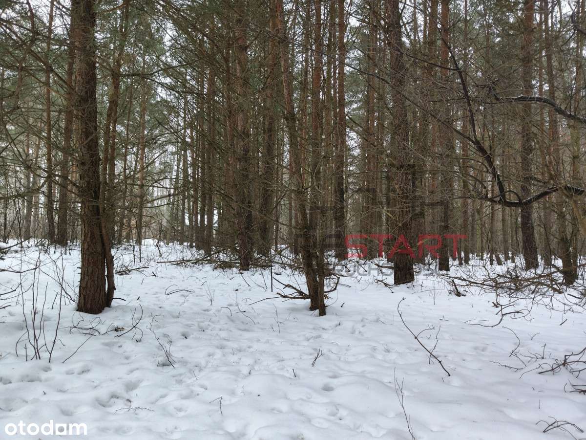 Działka rekreacyjna na mały domek-3