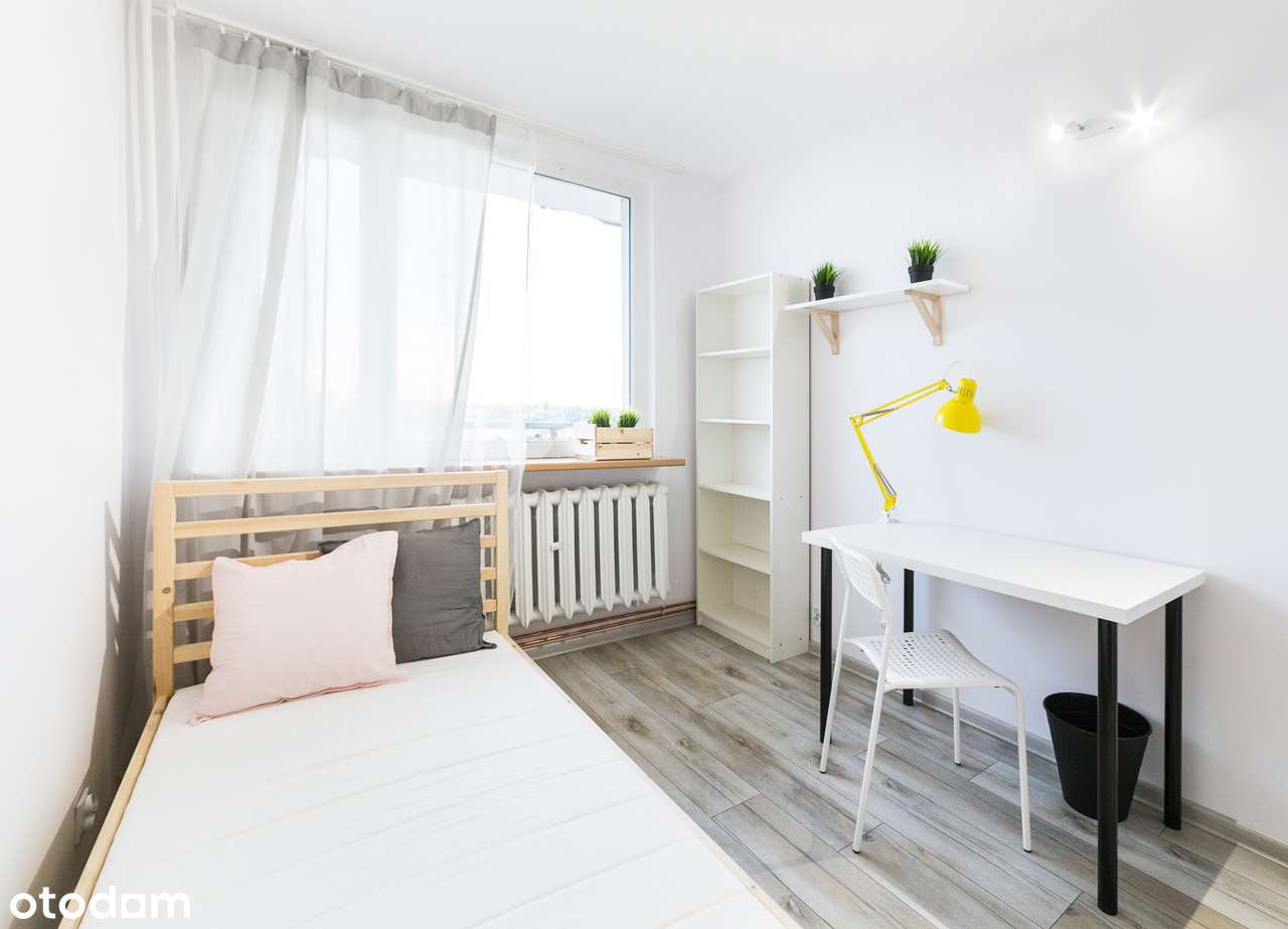 Pokój JEDNOOSOBOWY /NOWY DWÓR/ Bez PROWIZJI/ Dostępny od 17.01.2026 - Pełny obrazek: 4/12