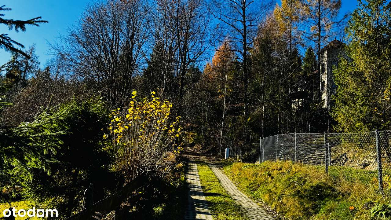 Dom z muminkową wieżą 330m2 wkoło las blisko rzeka BRENNA CENTRUM-7