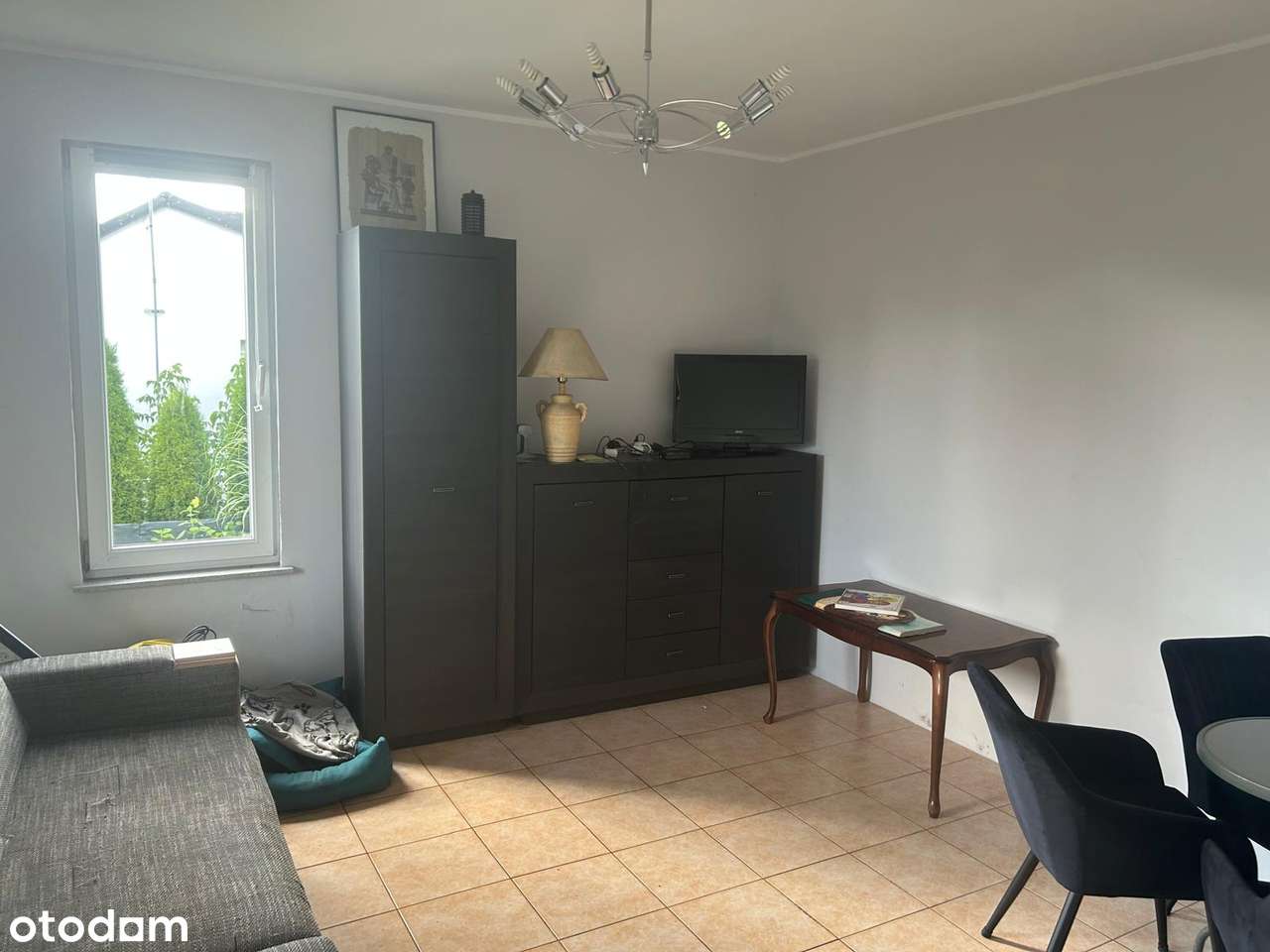 Atrakcyjna działka ROD Prądy. - Pełny obrazek: 4/15