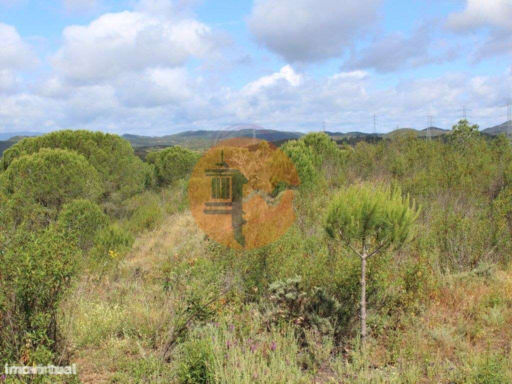 Herdade com 80 hectares com viabiliade de construção de 50% da area... - Grande imagem: 4/15