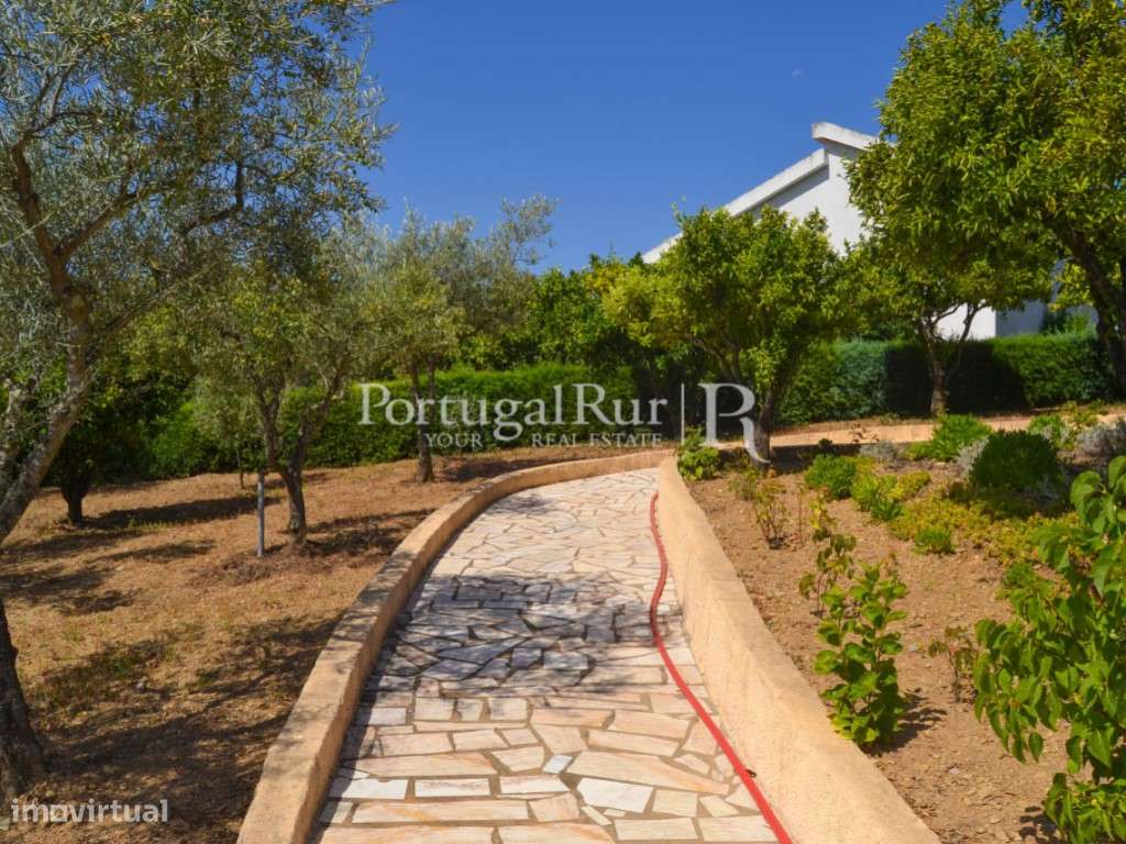 Excelente Moradia T6 pronta a habitar em Proença-a-Nova - Grande imagem: 4/60