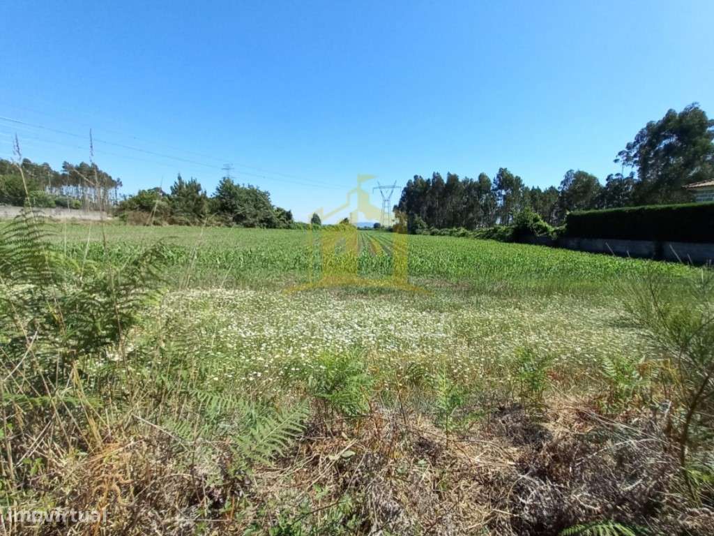 Terreno em Pedralva, Braga - Grande imagem: 2/11