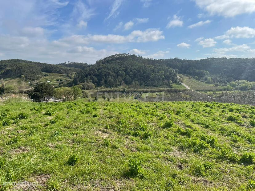 Terreno com projeto para uma moradia em Salir de Matos