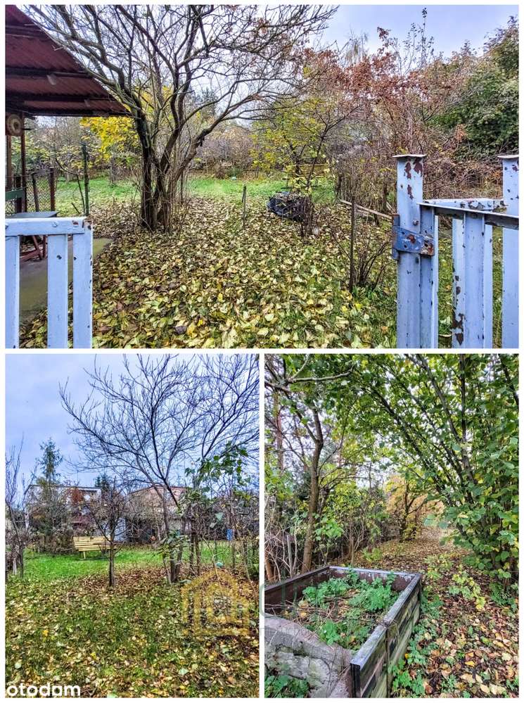 Dolny Miedzyń/Działka prawie 1100 m2/Blisko kanału-6