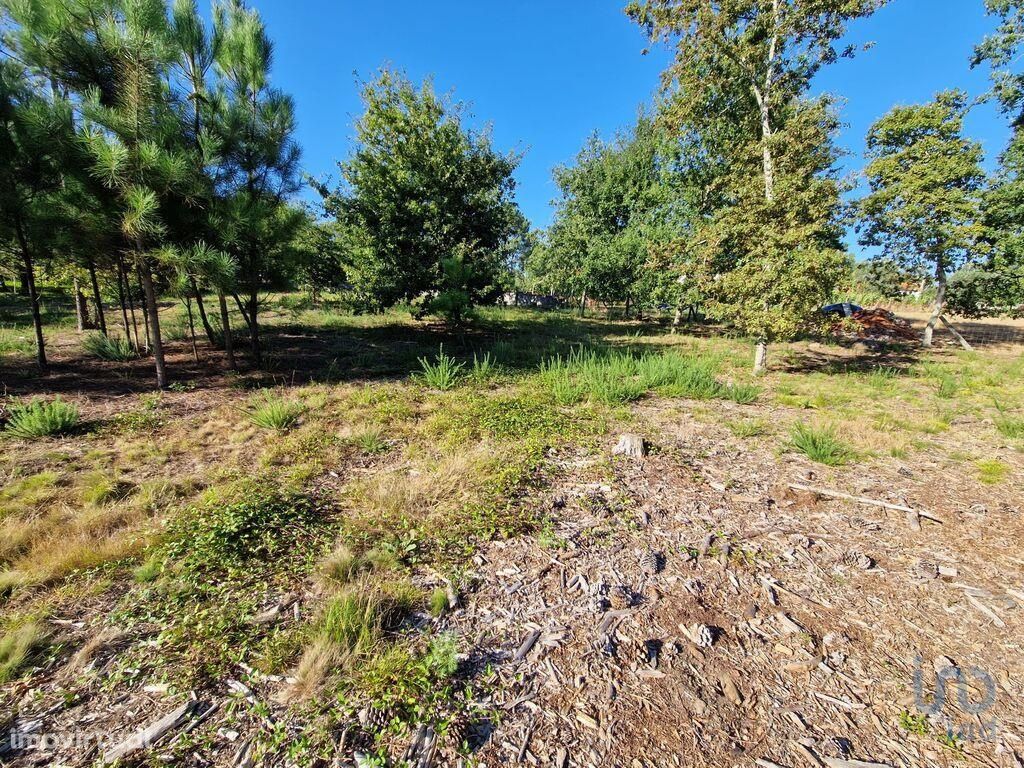 Terreno Agrícola em Viana do Castelo de 4878,00 m2