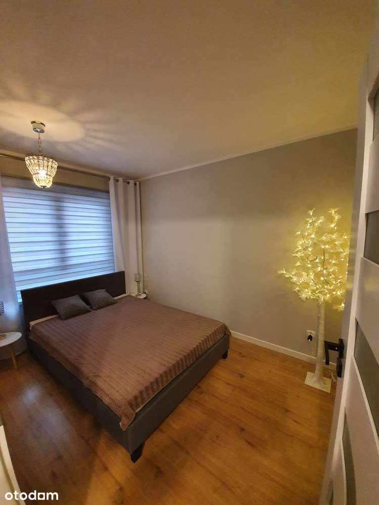 Do wynajęcia mieszkanie 2-pokojowe - Pełny obrazek: 5/7