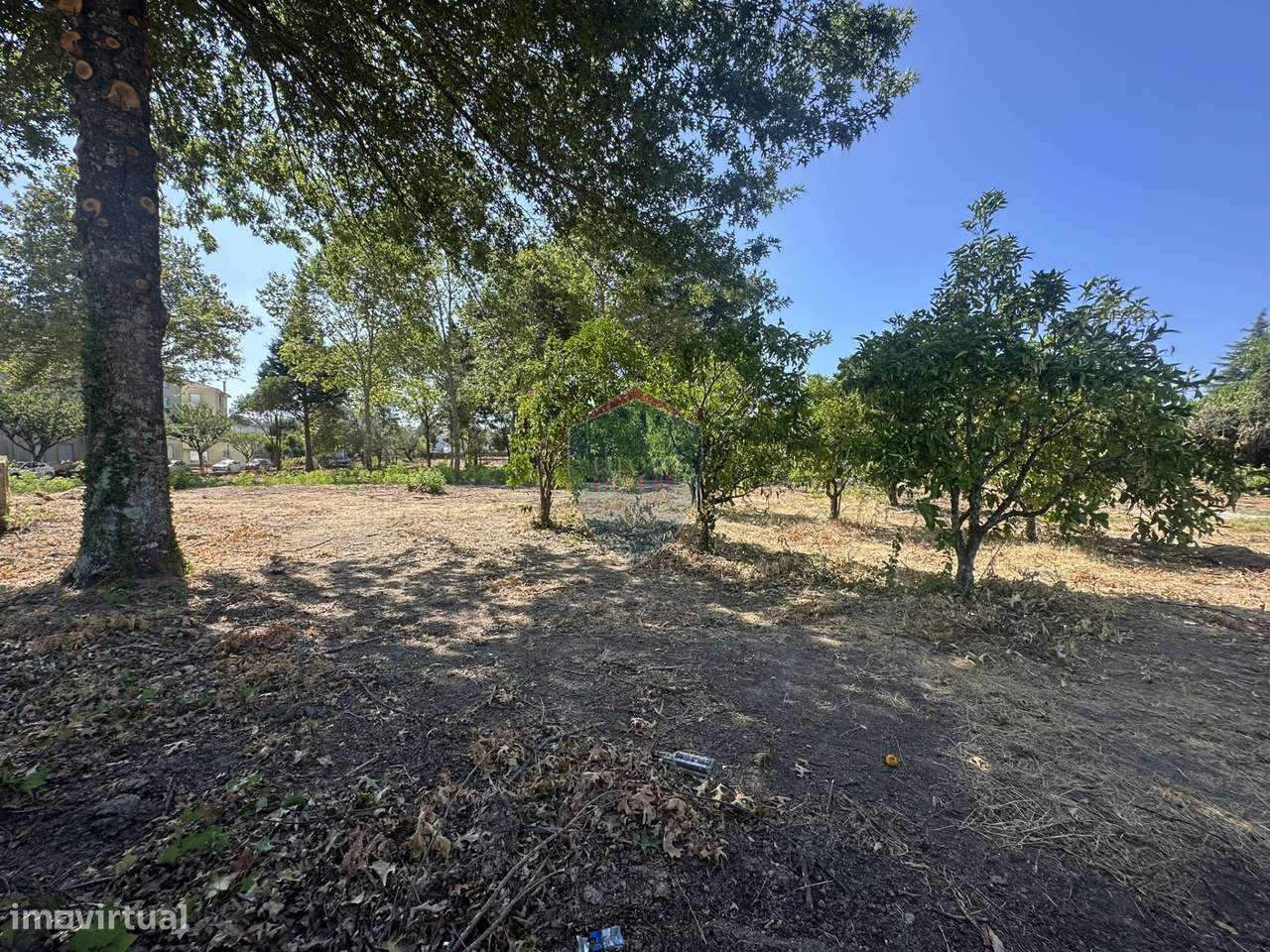 Terreno Urbano  Venda em Currelos, Papízios e Sobral,Carregal do Sal - Grande imagem: 4/13