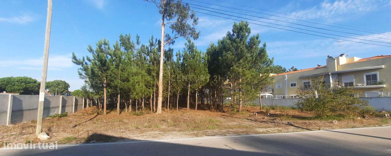 Excelente Terreno de construção! - Grande imagem: 4/8