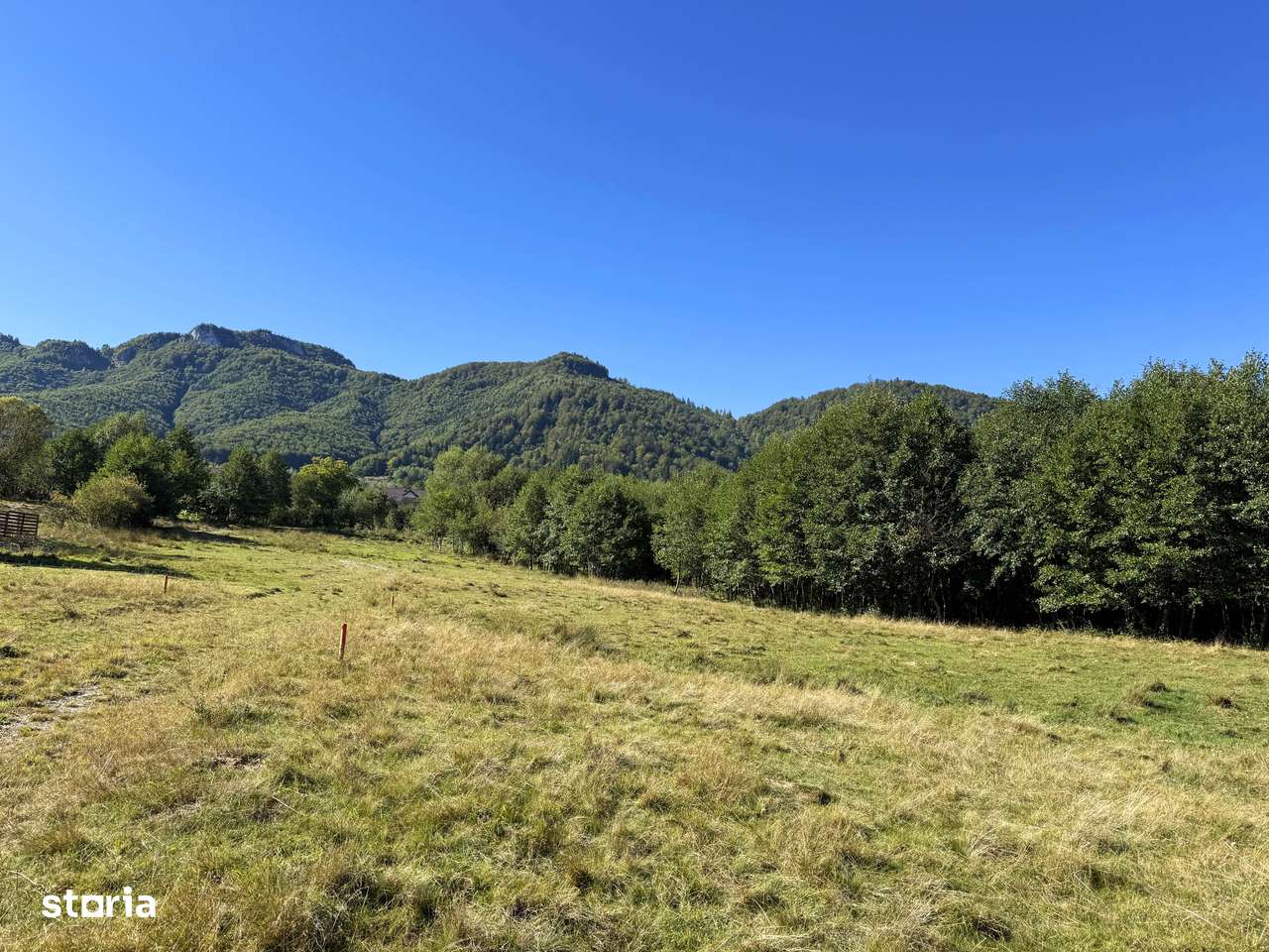 Teren intravilan 550 mp, Tohanita, zona Bran-Moieciu-Zarnesti-5