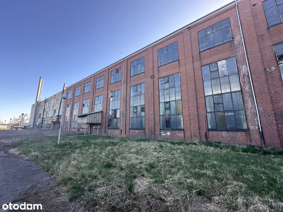 Hala Magazynowa 13500m² - Gotowe do Użytku - Pełny obrazek: 4/9