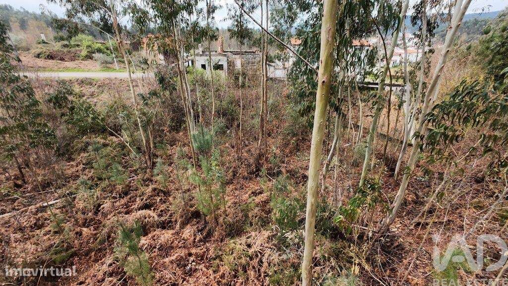 Casa / Villa T4 em Castanheira de Pêra e Coentral de 92 m2 - Grande imagem: 4/39