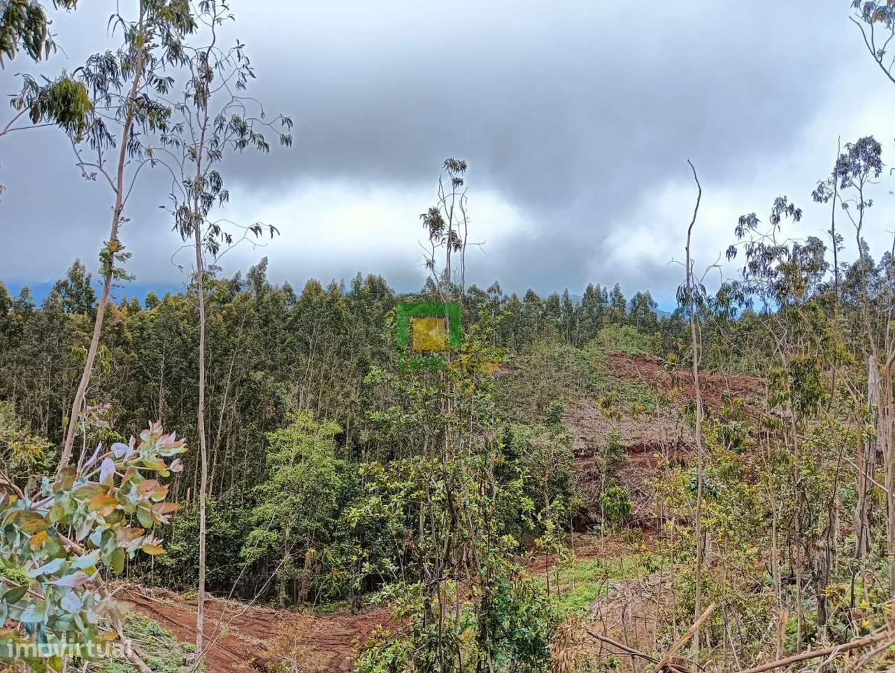 Terreno localizado no Santo da Serra - Grande imagem: 5/10