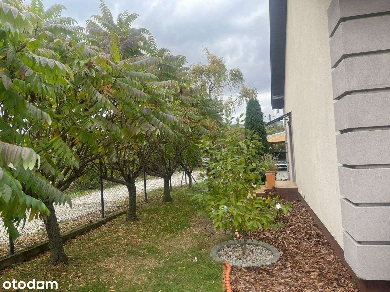 Dom, 160 m², Żółwin-17