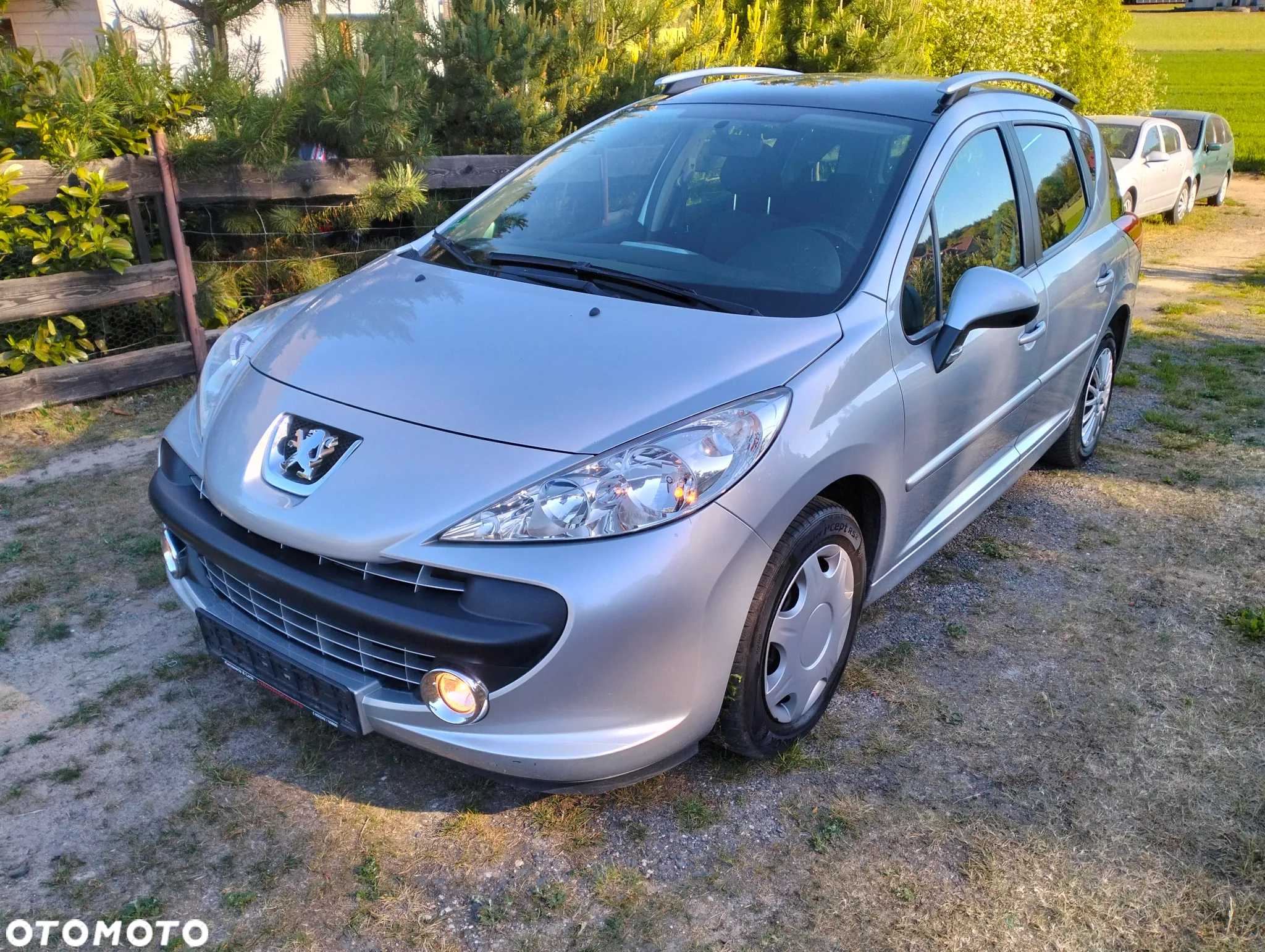 Peugeot 207 - 8