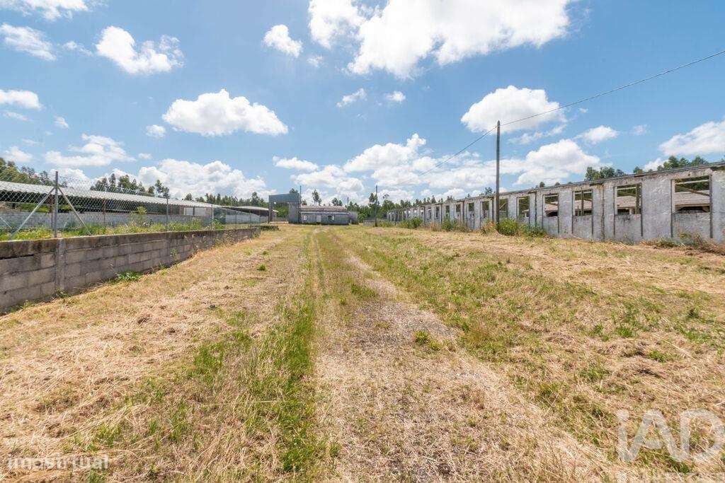 Terreno industrial em Vieira de Leiria - Grande imagem: 3/7