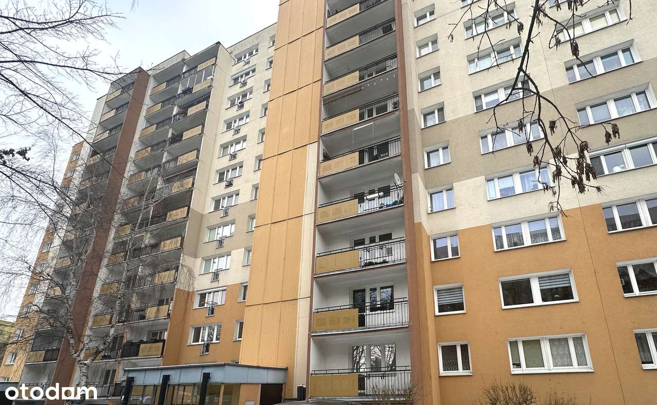 31 m² | Kawalerka z garderobą | wymienina  instalacja | Grunwald-6