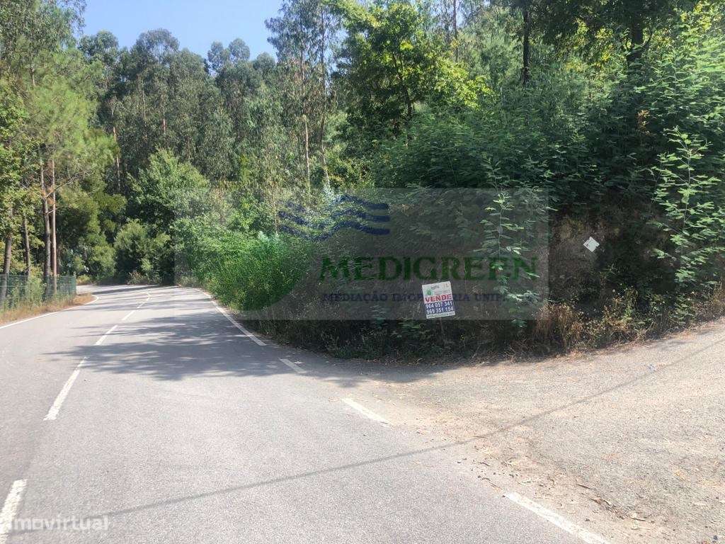 TERRENO PARA CONSTRUÇÃO EM CEDRIM - Grande imagem: 4/9