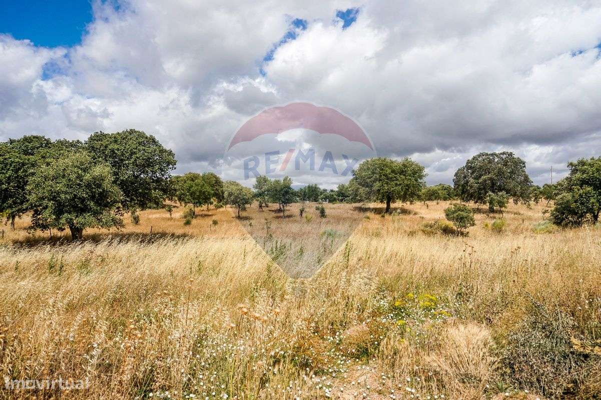 Herdade T2 para venda - Grande imagem: 4/19