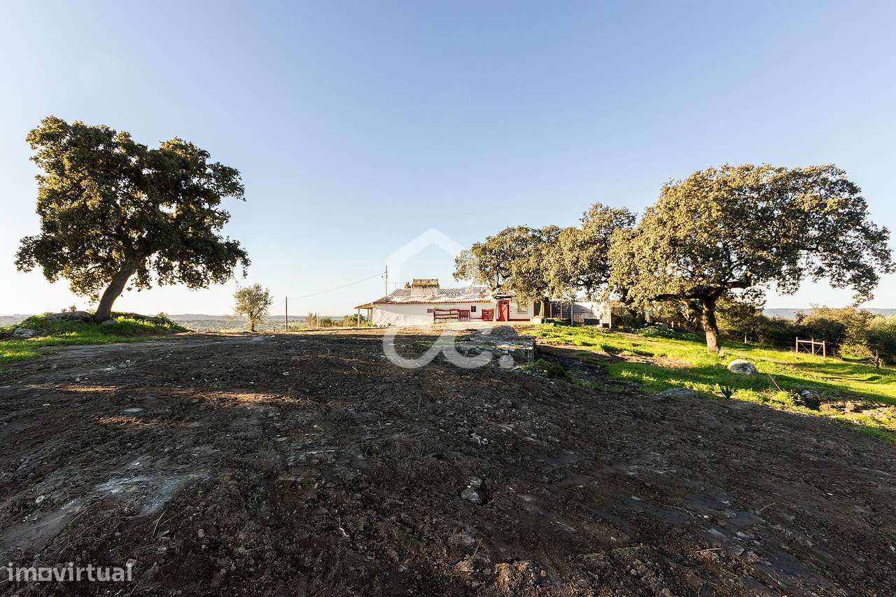 Terreno com 12ha, 2 casas urbanas e 10 casas rústicas | Évora - Grande imagem: 4/37