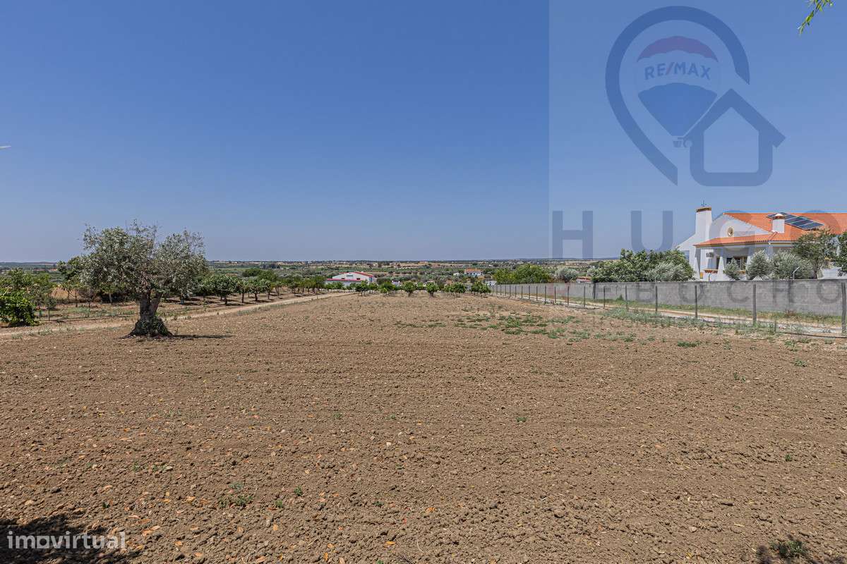 Quinta com 1,425 ha em Redondo-14