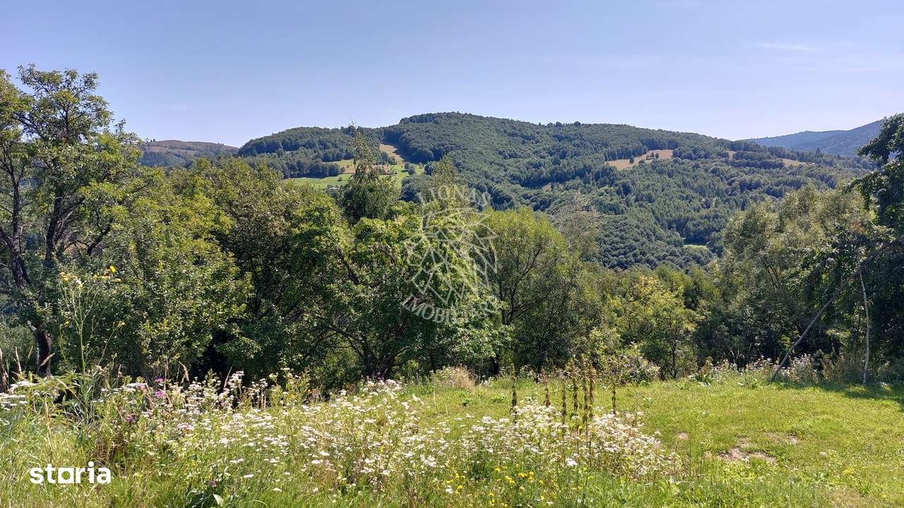 Teren extravilan investiție Rachitele Cluj - 31.555 mp-6