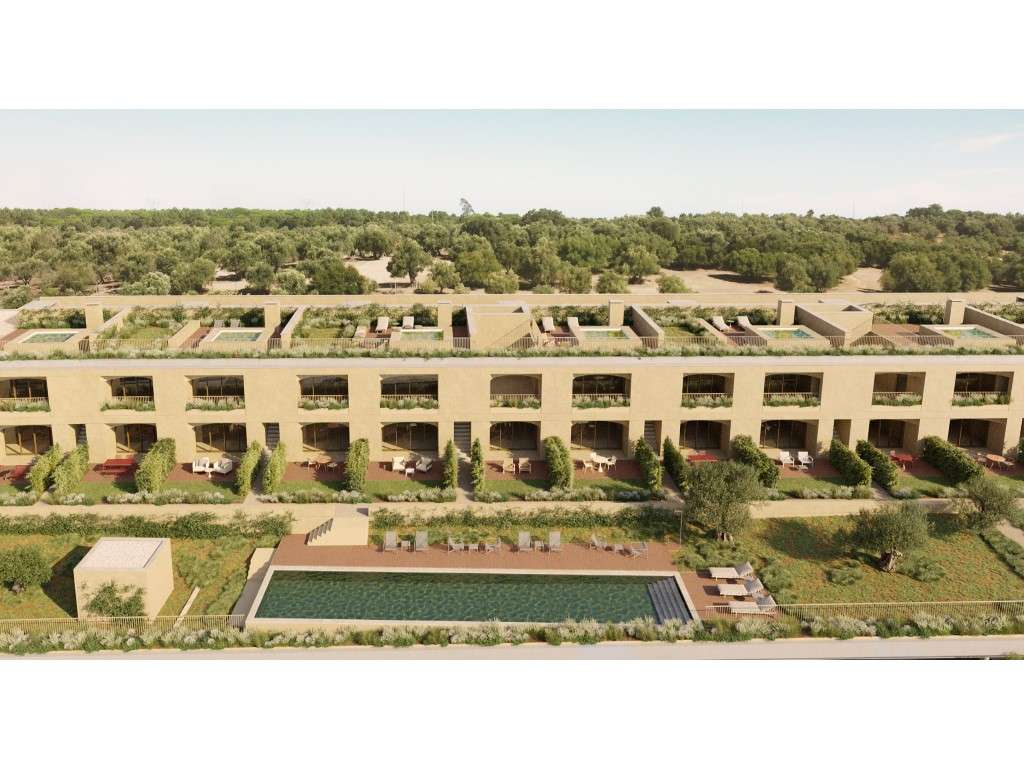 Olive Green - Grande imagem: 3/32