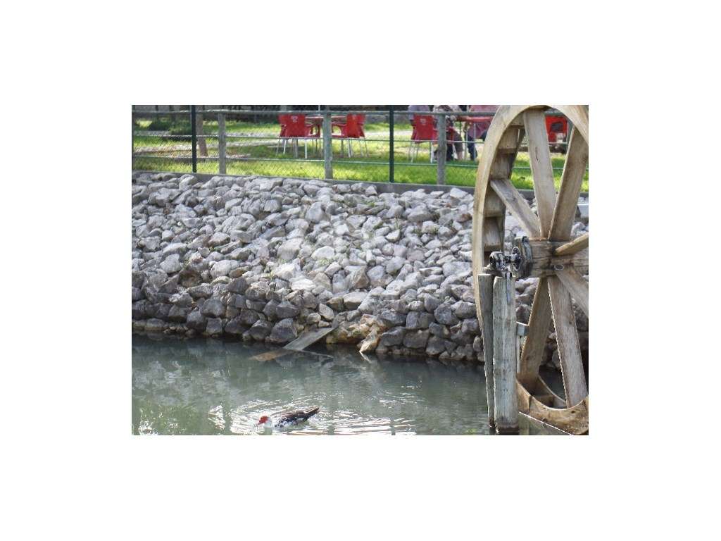 Apartamento T0+1 Oiã | Oliveira do Bairro-14