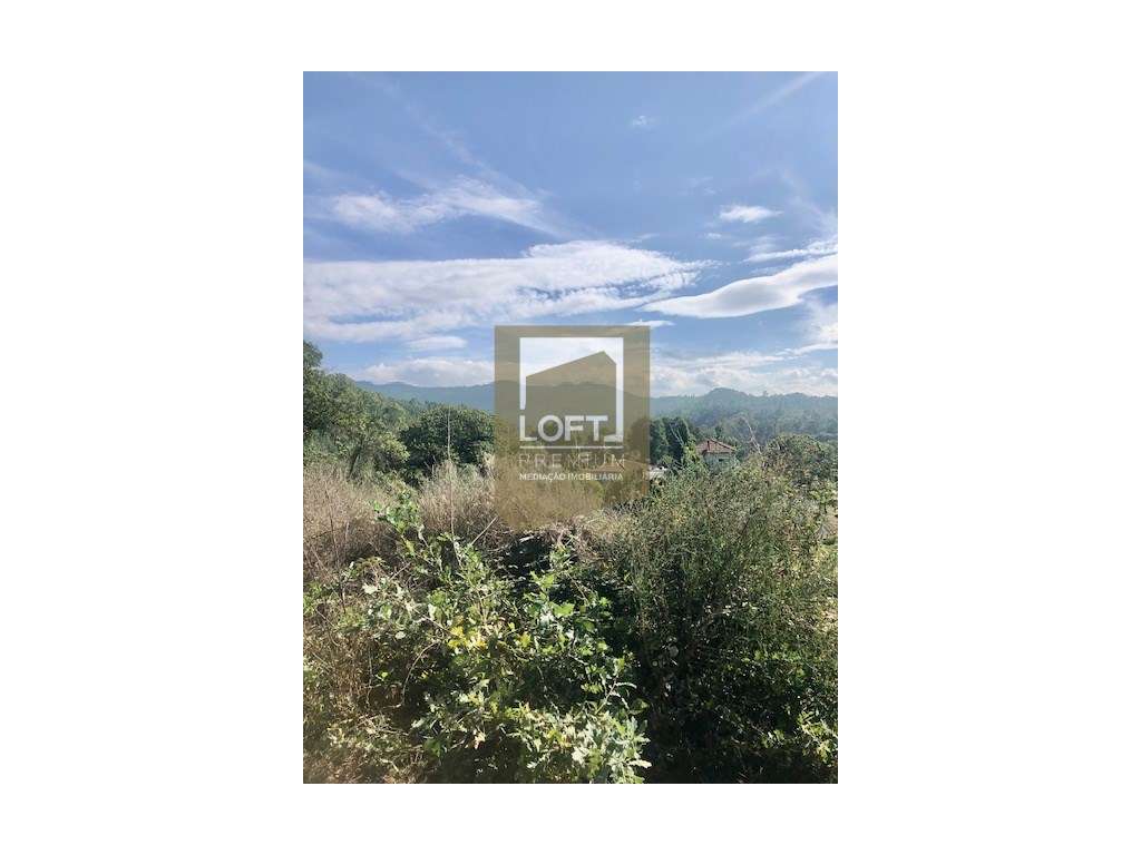 Quinta com Ruína Central em Cabeceiras de Basto-5