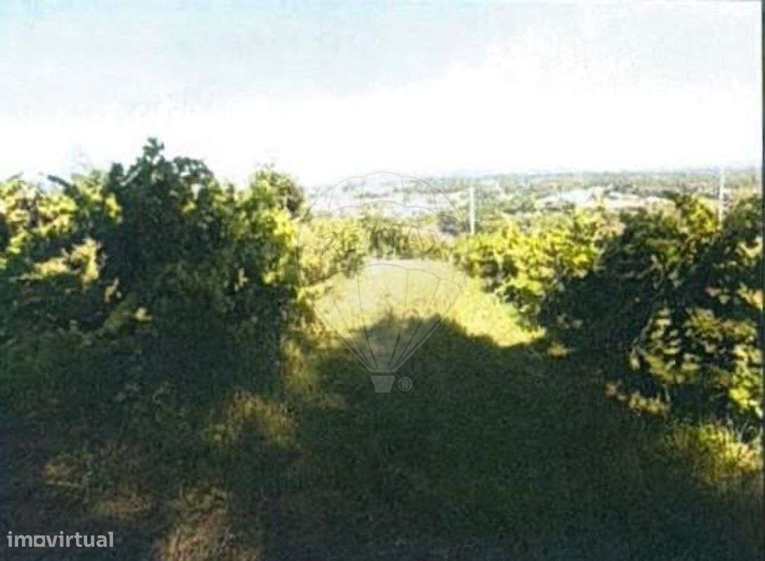 Terreno  para venda
