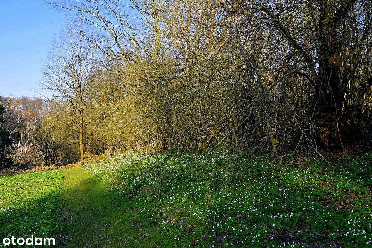Oaza na Wzgórzach Dylewskich-7