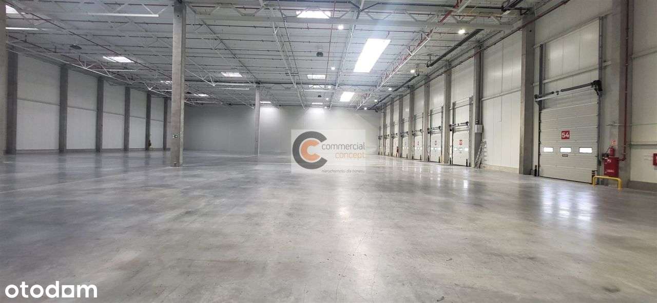 Magazyn blisko lotniska w atrakcyjnej cenie - Pełny obrazek: 4/7