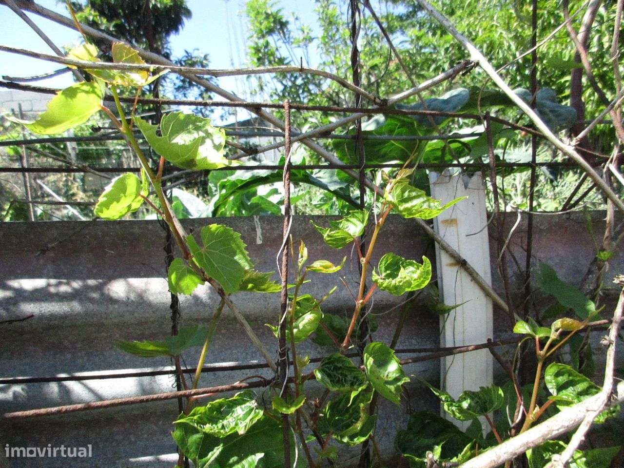 Terreno Urbano Ermesinde Centro-6