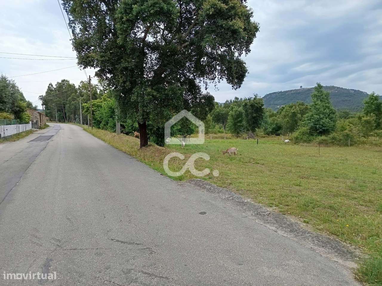 Terreno com 54.809m2 em Vila Nova de Poiares. - Grande imagem: 2/7