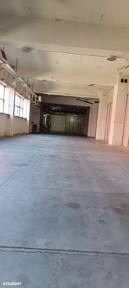 Hala produkcyjno-magazynowa 410 m2 - Pełny obrazek: 5/5