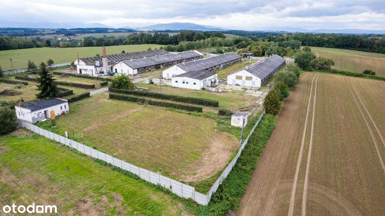 Budynki hodowlane i magazynowe na działce 4,3ha - Pełny obrazek: 4/9