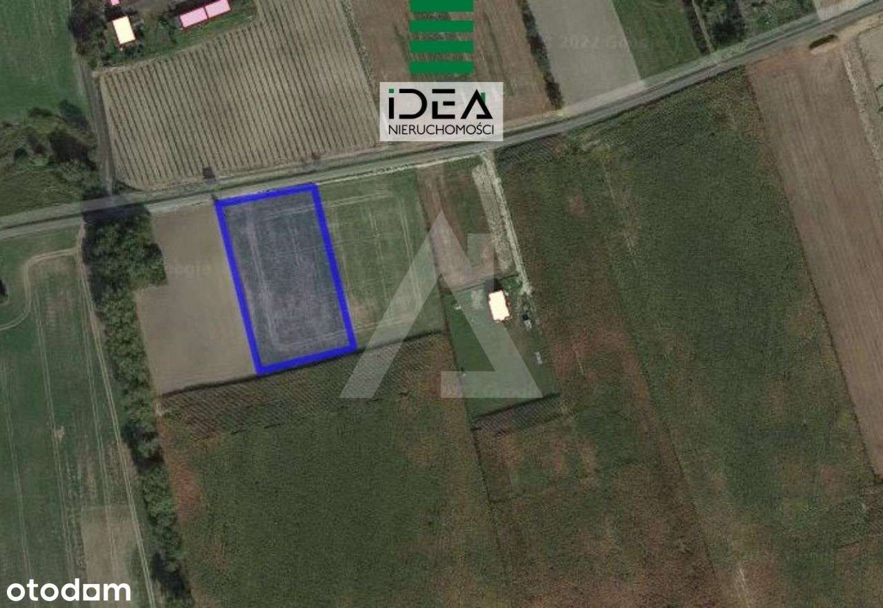 Działka w Trzemiętowie 1625 mkw warunki zabudowy - Pełny obrazek: 5/6