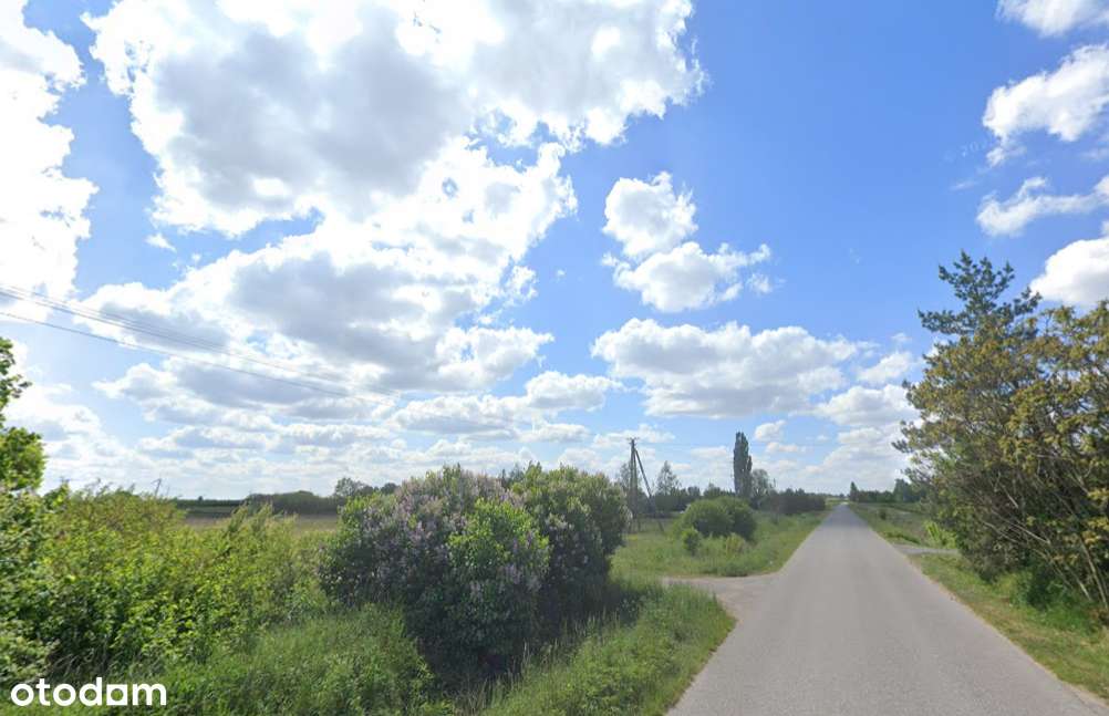 Uzbrojona działka - 6000m2 z budynkiem do remontu - Pełny obrazek: 4/5