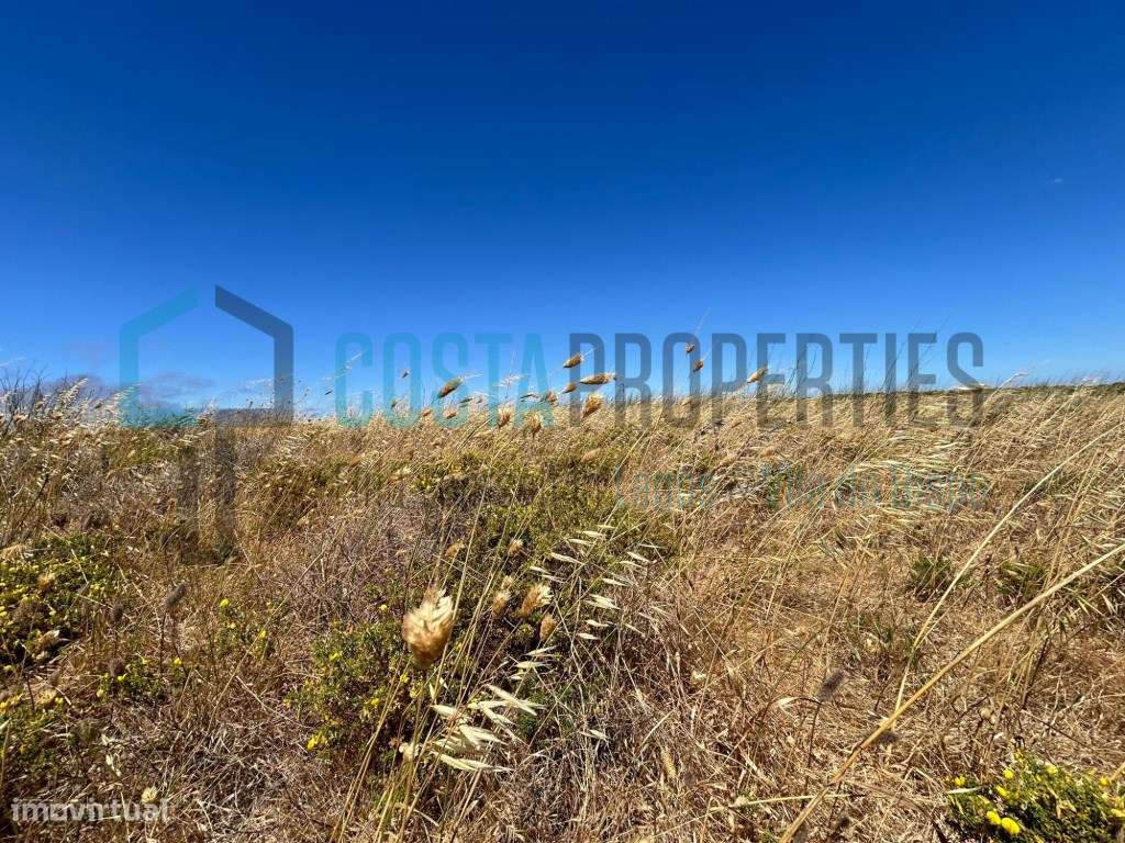 Terreno para Cultura Arvense a poucos minutos das Praias da Raposeira - Grande imagem: 2/15