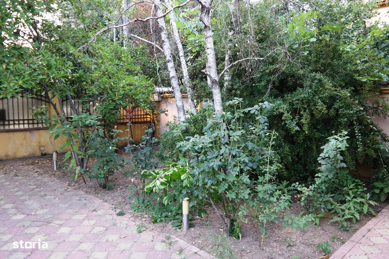 Bucurestii Noi-5min metrou Laminorului,parc Bazilescu!-16