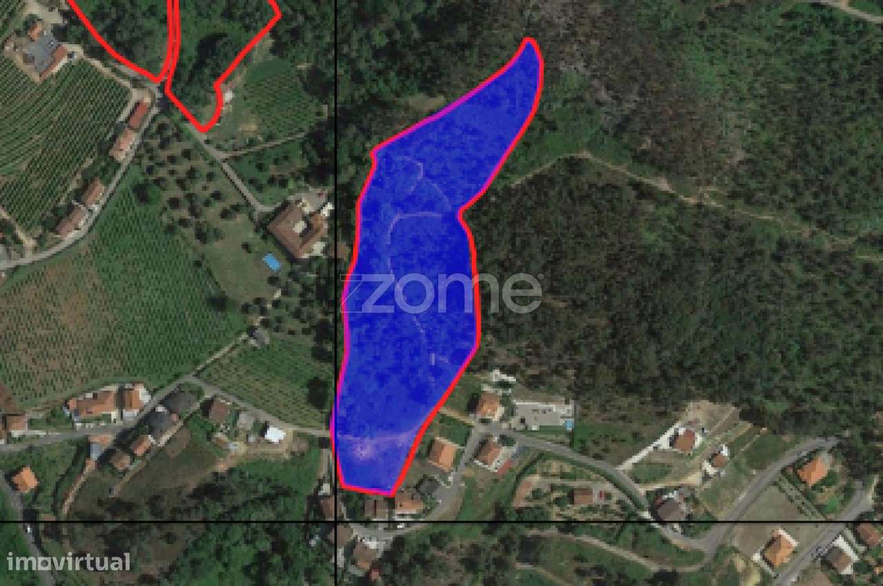 "Vinha de Cima" - Terreno em Santa Comba, Cabeceiras de Basto - Grande imagem: 2/16