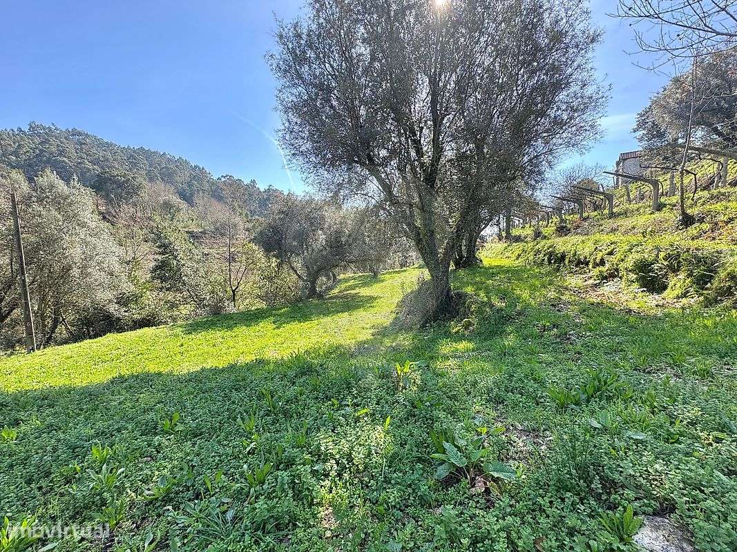 Terreno  para venda-6