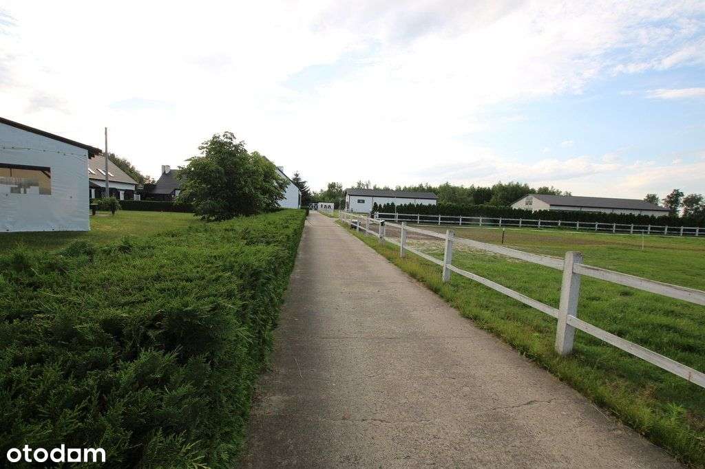 Stadnina koni z pełnym zapleczem hotelowym-9