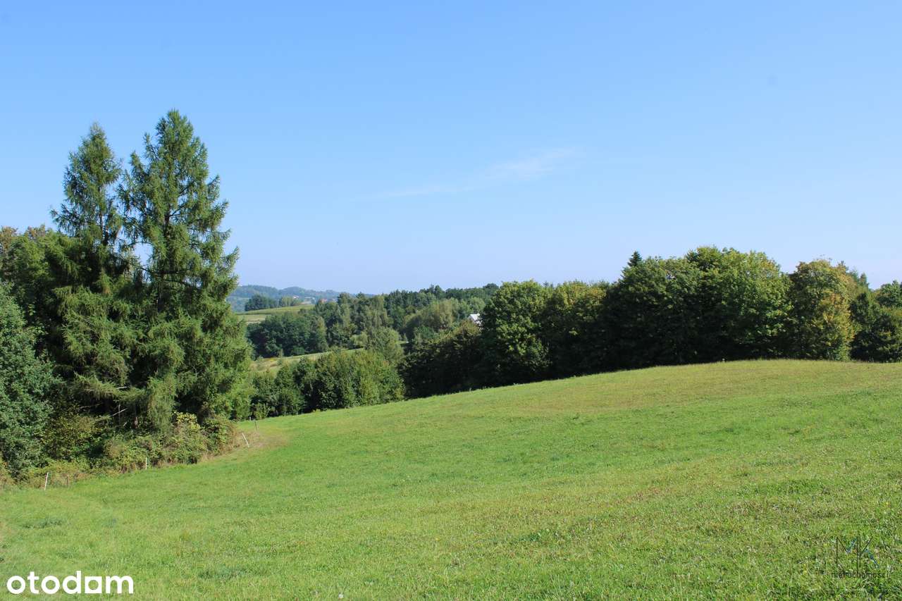 Sobolów, gm. Łapanów - gospodarstwo z potencjałem o powierzchni 6,32ha - Pełny obrazek: 5/20
