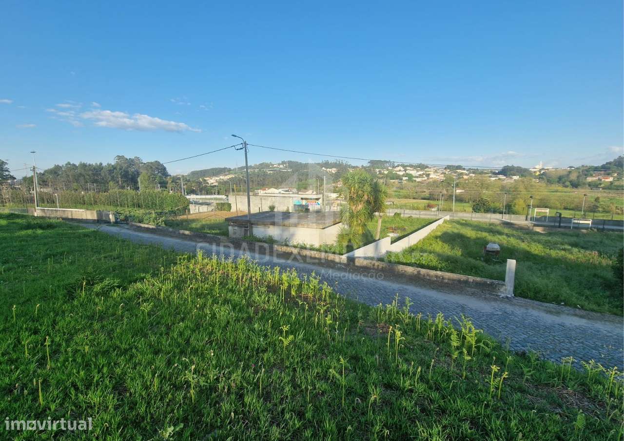 Terreno e Casa em Ruínas para Construção – Irivo, Penafiel-7