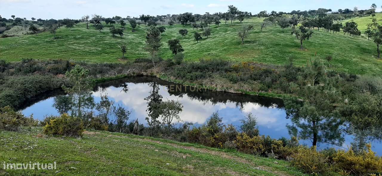 Alcácer do Sal - Herdade 115ha - Grande imagem: 4/17