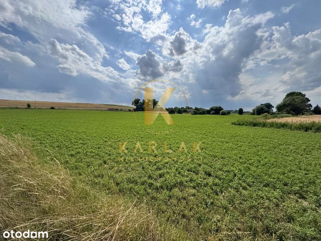 Działka w Lubiatowie (droga na Kotowo) Nowa Cena-7