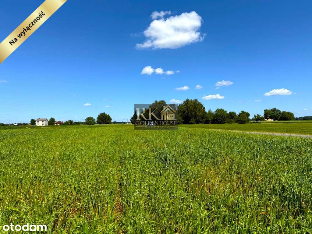 Przestrzeń i spokój w jednym - duża działka budowlana na sprzedaż - Pełny obrazek: 4/12