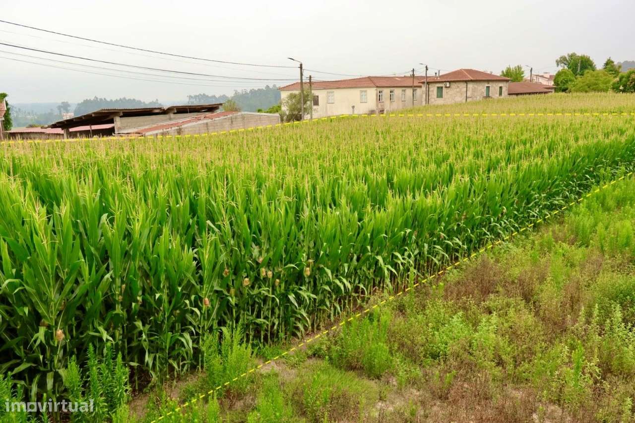 Terreno Urbano  Venda em Malta e Canidelo,Vila do Conde-6