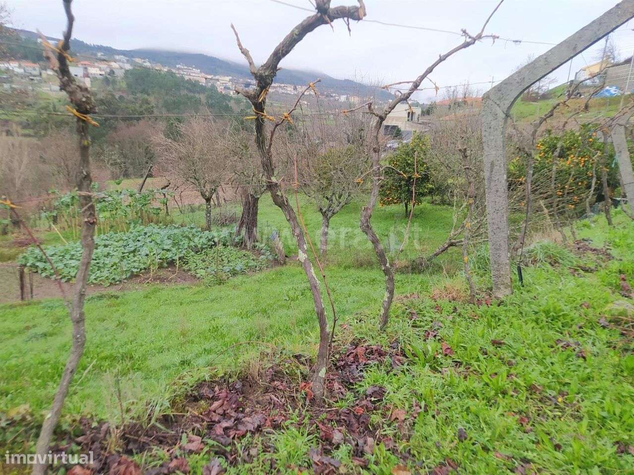 Terreno / Baião, Campelo e Ovil - Grande imagem: 5/9